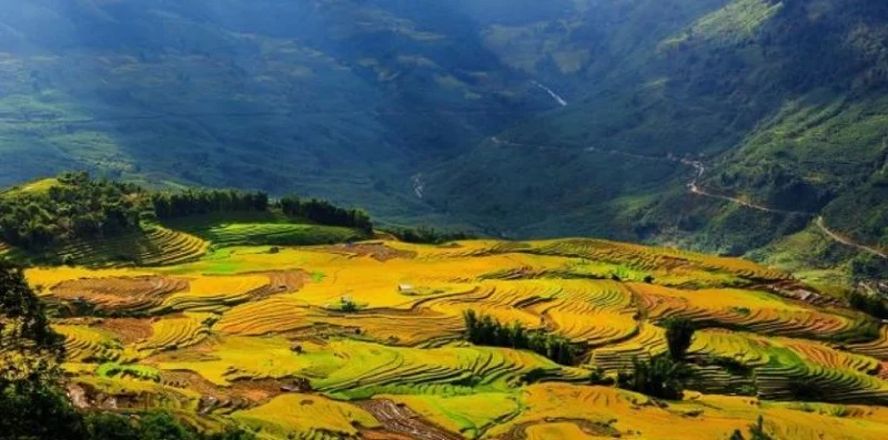 3-Day Sapa Trekking Tour: Y Linh Ho, Lao Chai, Ta Van, Ban Ho, Nam Tong, Thanh Phu & My Son